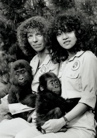 U.S.-Canada accord. Metro zoo workers Dianne Devison, left, and Juliana So show off their charges, infant lowland gorillas. Patrick, 9, months, was bo(...)