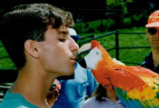 Sinbad wanna snack. Sinbad the scarlet macaw will do almost anthing for a bite to eat, even grabbing a seed form the teeth of handler Doug Whiteside. (...)