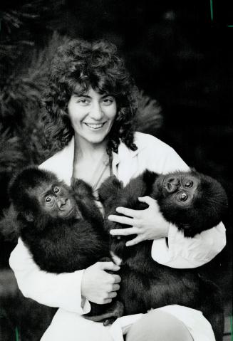 Zoo babies: Metro Toronto Zoo keeper Lydia Attard holds two baby lowland gorillas, Jabari and Patrick