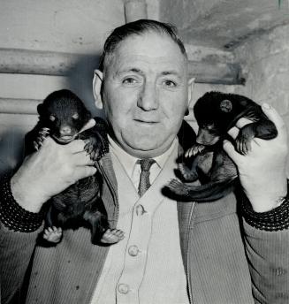 36 ounces of bear. Only four weeks old and weighing 18 ounces each, these bear cubs were presented to Riverdale zoo by Sudbury department of lands and(...)