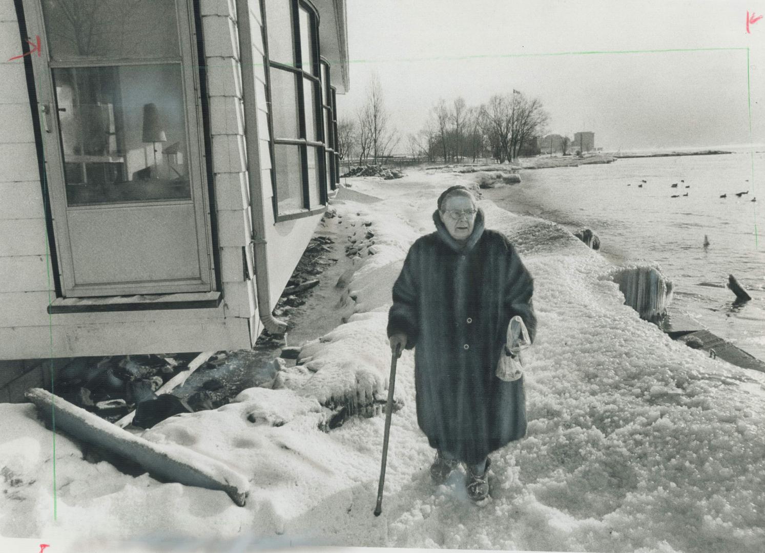 Basement flooded by the rising waters of Lake Ontario, 65-year-old Dorothy Robinson of the Pickering area watches the lake. [Incomplete]