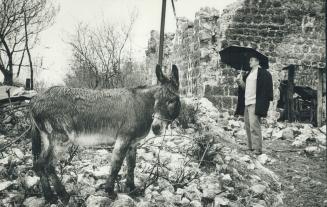 Donkey and dog survive at home of Dragoljub Radovich from village of Sutonichi all other live stowe are killed under a walls, in this bosm