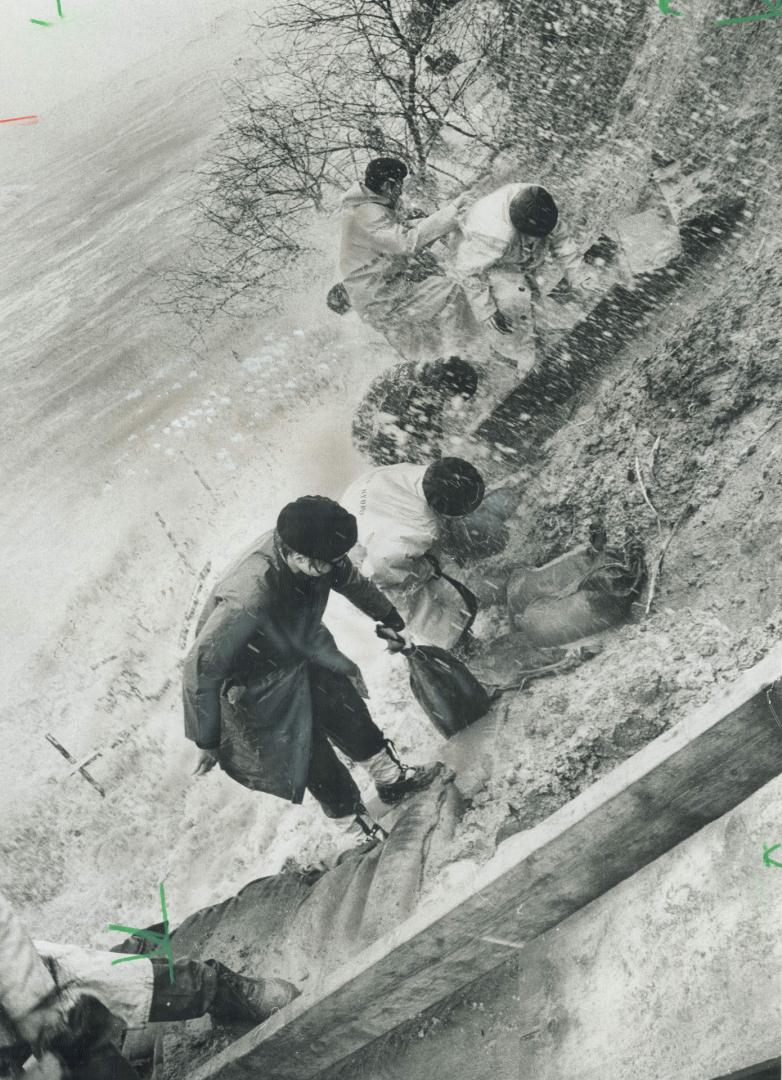 West Hill Army Cadets work in 36-degree water to sandbag the shoreline next to four houses in Pickering Township threatened by the rising waters of La(...)