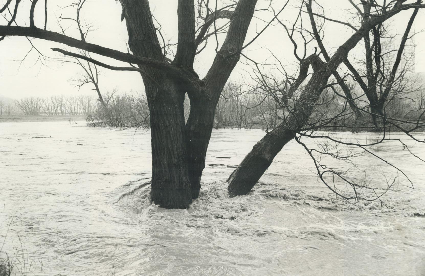 Lakes and Rivers - Water Level (Lake Ontario)