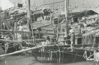 In contrast to Hong Kong's busy harbor, visitors can escape to the New Territories, which separates Hong Kong from China