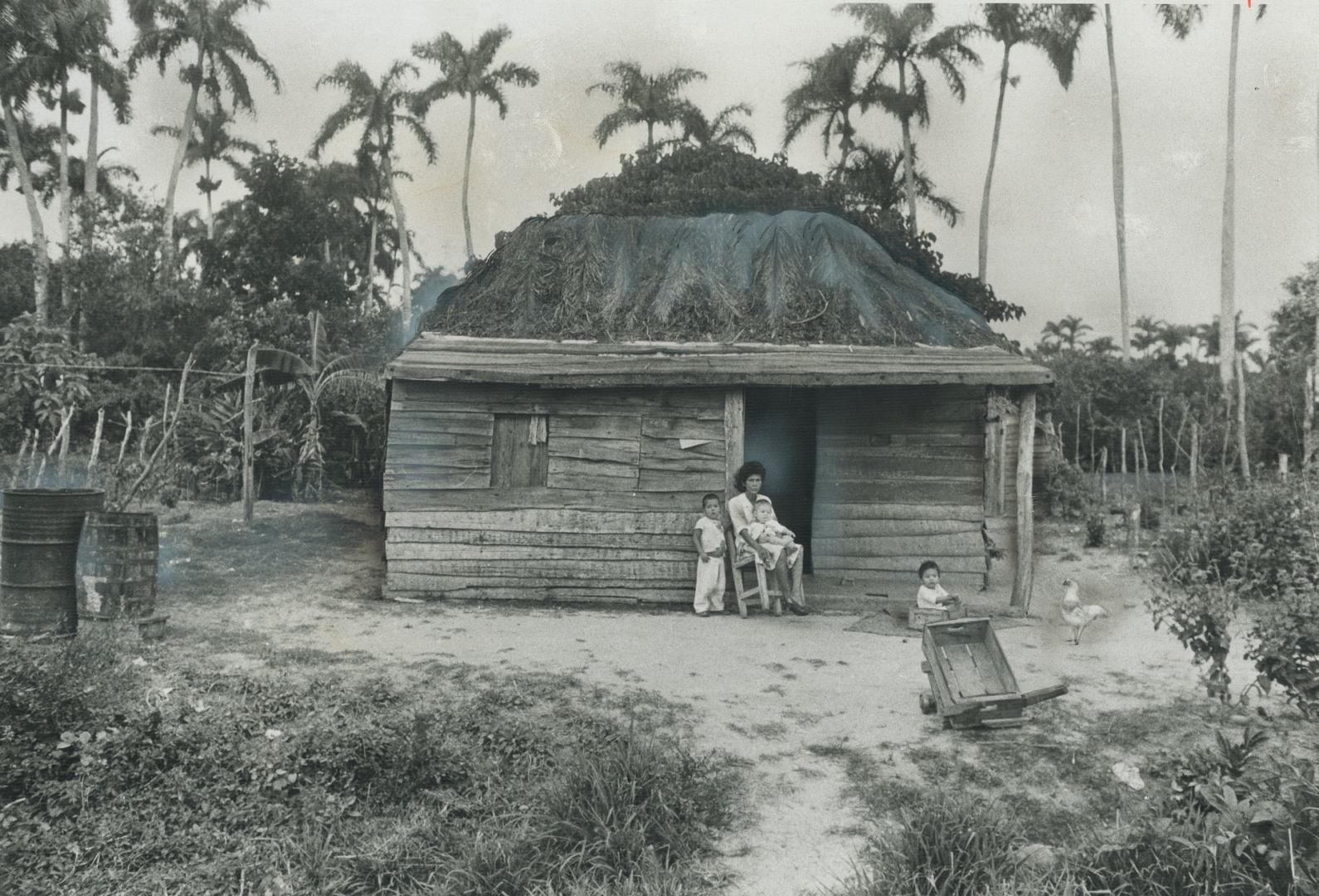 Some of the poor living conditions in the Cuban countryside can be seen in this shack