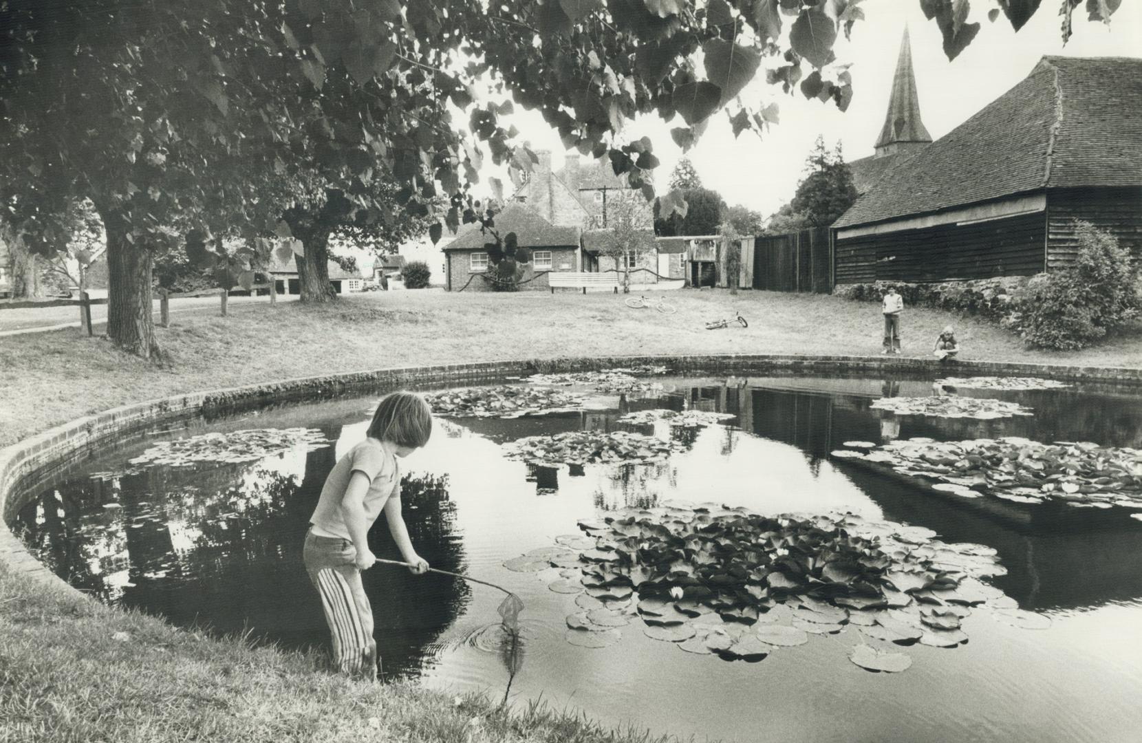 Kids trying to catch mimows in pond