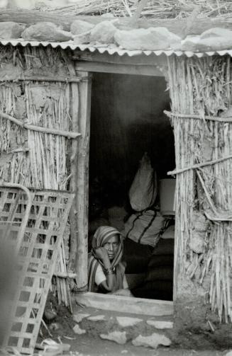Earthquakes - India