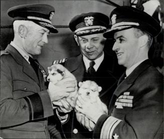 Mascots Chosen for U.S. Navy's South Pole journey are these husky pups. Officers, from left to right, are: Rear-Adm. Richard E. Byrd, Capt. Robert S. (...)