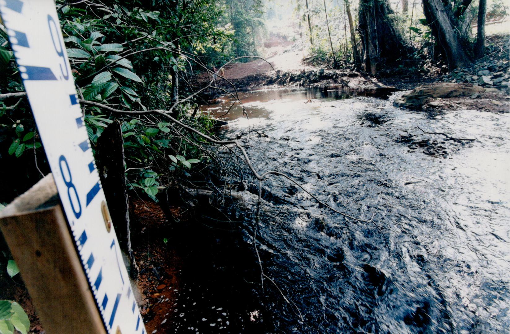 Guyana - South America