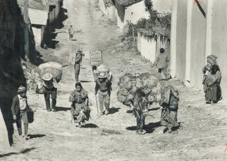 Staggering loads are carried by the Maya-Quiche Indians of Guatemala when they're on their way to market, as evidenced by these villagers climbing the(...)