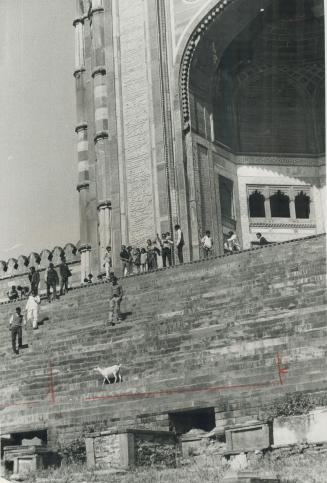 Animals and humans share a tolerant relationship over much of India aside from the freedom of sacred cows to wander city streets. So it comes as no surprise to meet a goat on the steps of a palace