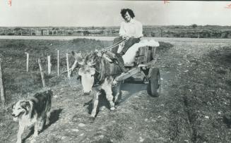 Bringing home the peat, this lad with his dog and his donkey lives life at a pace that hasn't been seen in industrial Ontario for half a century. Whic(...)