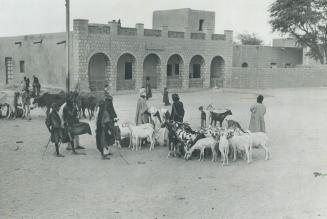 Sword-carrying Arab nomads of the Sahara gather on the out skits of Timbuktu to buy livestock before setting out on the caravan routes. The setting is(...)