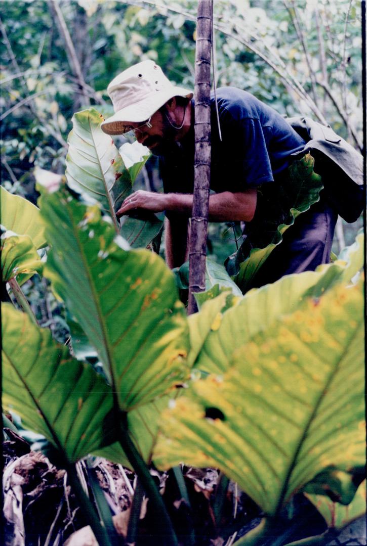 Ross MacCulloch in Xain forest