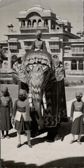 Perhaps the pride and pomp of India are most vividly expressly in richly decorate elephants elephants owned by immensely wealthy rajahs and maharajahs(...)
