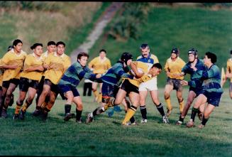 Rusby Patch at Porirua college Porirua in yellow area with Highest concentration of public horsing in country