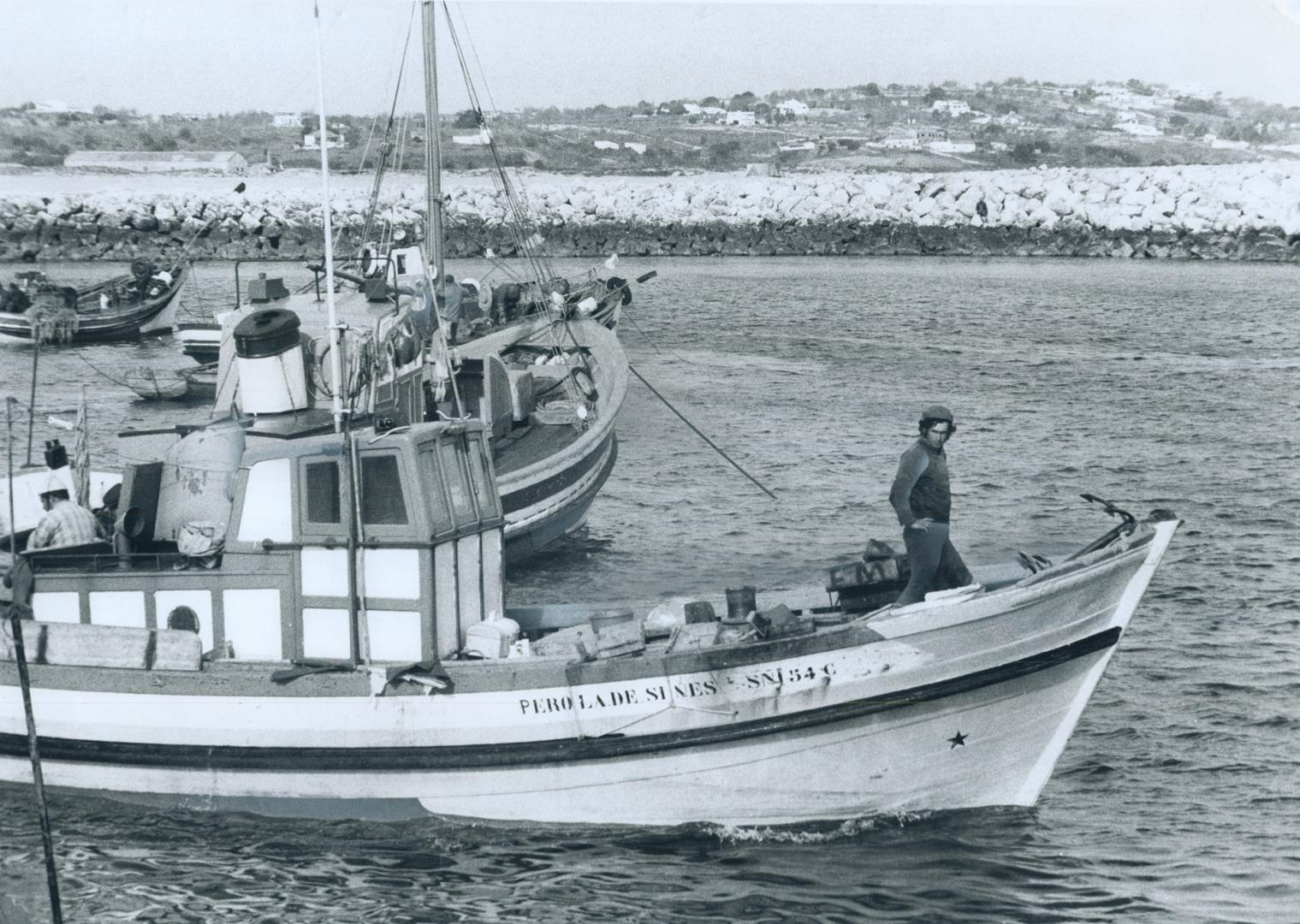 Portuguese Fishermen still ply their ancient trade off the Algarve, the country's southern coast, come revolution or political arguments. And tourists(...)
