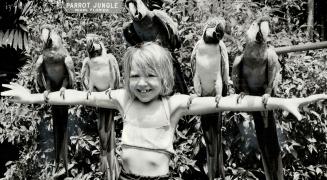 Me and my friends: A young visitor to Miami's Parrot Jungle plays the role of a roost for a quintet of feathered residents