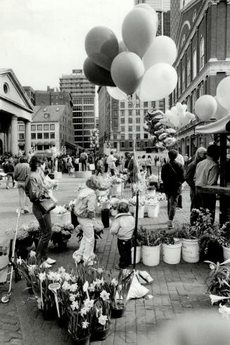 Faneuil Hall Marketplace is blooming with fresh flowers