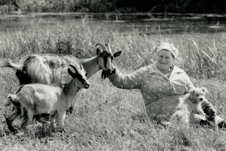 All her own: A worker on the Soviet Suzdal state farm tends the goats she keeps on her private plot of land, which she will now legally be allowed to lease