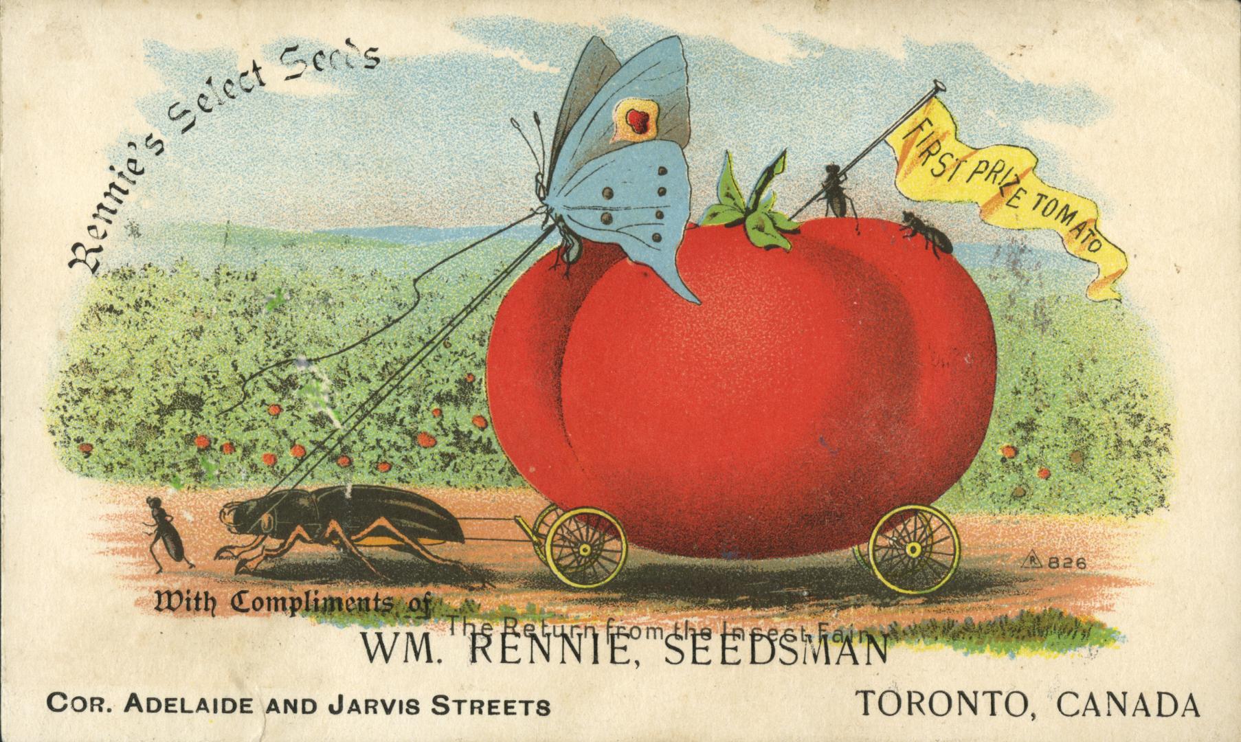 Whimsical illustration of a tomato that is on wheels to resemble a horse drawn carriage, with a ...