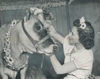 When a lady is an popular as Elsie the cow, grooming gets top priority