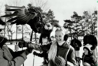 Mr. Eagle calls on Ms Pigeon, Diane Pigeon of Pickering seems pleased but a little wary that Mikasi, a 5.4-kilogram (12-pound), 4-year-old bald eagle,(...)