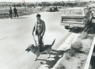 Opp tracker dog, scout, is lead by Constable Paul MacNeil near a Bowmanville roadblock yesterday during a search for prisoner Frank Herbert Hore, 22, (...)