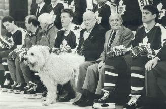 Puck gets poised to face off. Everybody seems a bit uninterested in things, including Harold Ballard's dog Puck, at Maple Leafs' picture-taking sessio(...)