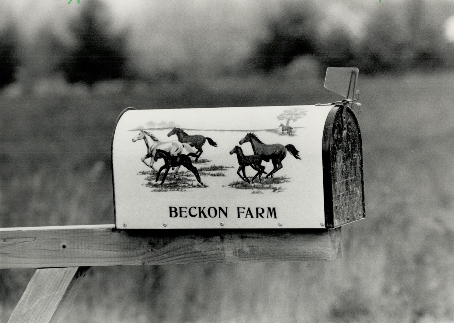 Here is the elegant home Dan Beckon built for his family near Bolton as one of Canada's leading jockeys