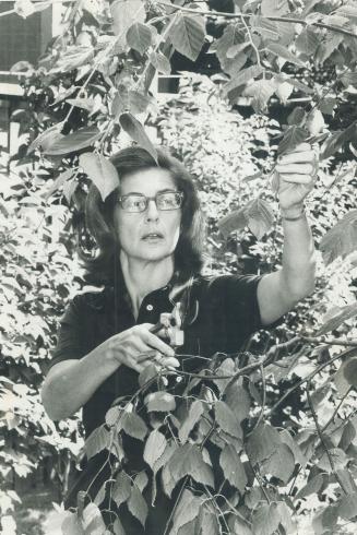 Betcherman, Lita-Rose