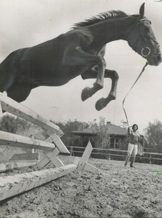 Christy, 17, hopes to win gold medal for Canada in 1964 Olympic dressage test, Serious determination is mirrored in Christy's face as she puts Si Bon,(...)