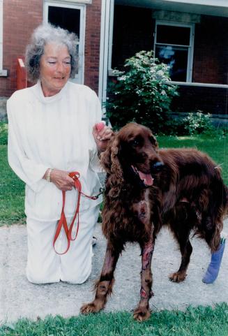 Cook, Maureen