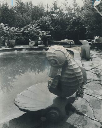Seahorse Birdbath has a ring side seat by the pool in back of Cox's house