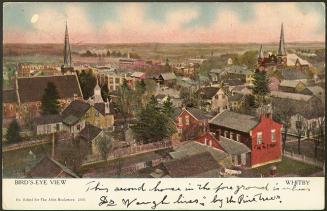 Bird's-Eye View, Whitby