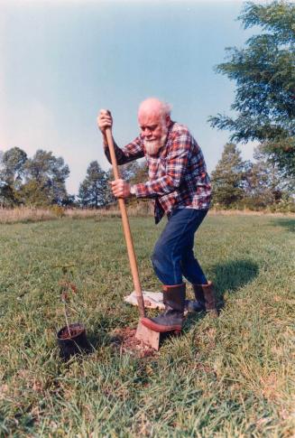Digging to plant tree. Mid-October is a very good time to dig a hole to plant container-grown plants such as red oak
