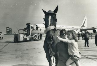 Welcome home for a horse. Katherine Mary Day, 2 1/2, is held by groom Carol Shoobridge as she pats father's horse at Toronto International Airport. Oc(...)