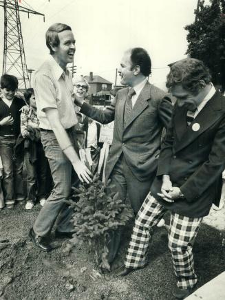 A tree to defy expressways. A small white spruce was planted yesterday in a park on Old Weston Rd. north of St. Clair Ave. W. which is on one of the r(...)