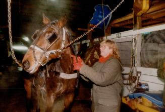 Trainer Jeff Ginn helps Fish strap up her helmet, at top