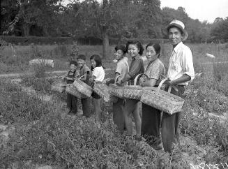 Agricultural workers