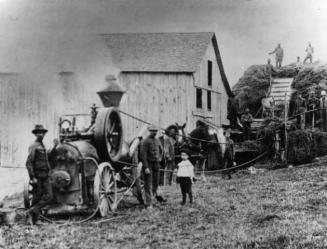 Haggert Bros. 'Cornell' portable engine threshing peas