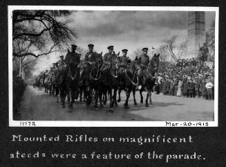 Mounted rifles on magnificent steeds were a feature of the parade