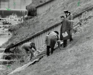 Body found: Police investigators search the sewer grate where the body of 16-year-old Roman James Kiyoshk was found on Saturday afternoon