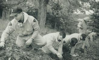 Searching for clues: Constable Mike Knox, left, and other officers comb the area near where Caroline Case's car was found
