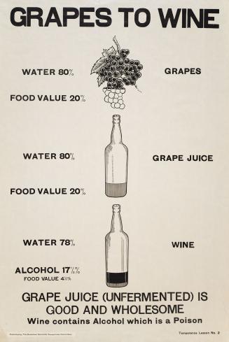 Grapes to wine