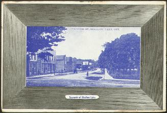 Princess St., Shallow Lake, Ontario Souvenir of Shallow Lake