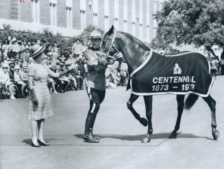 A tall Mountie in red serge holds a large beautiful black horse whose blanket reads Centennial, ...