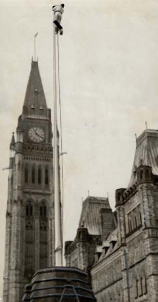 Flagpole-Sitter with royal purpose, High-rigging it up the slim length of the flagpole before the peace tower at Ottawa, goes just one of the many wor(...)
