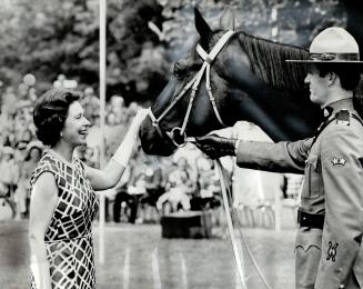 The Queen accepts Jerry, one of the five finest horses in the Royal Canadian Mounted Police Stables, a great-grandson of the famous racehorse Man O' W(...)